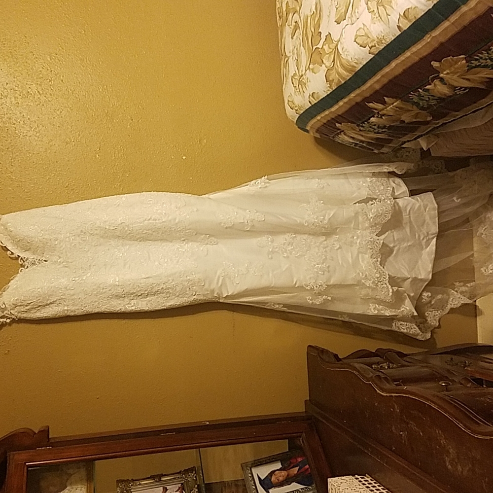 Wedding Dress and veil - Picture 1 of 10
